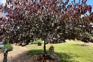 2110 Quicksburg Rd, Quicksburg, VA 22847 - Photo 48