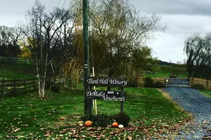 2110 Quicksburg Rd, Quicksburg, VA 22847 - Photo 14