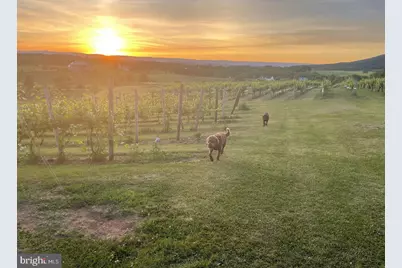 2110 Quicksburg Road, Quicksburg, VA 22847 - Photo 2