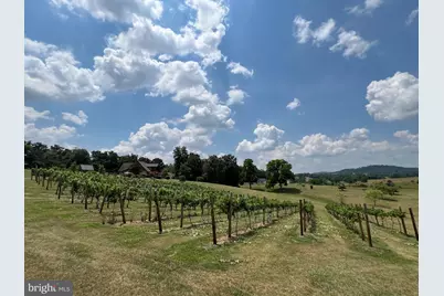 2110 Quicksburg Road, Quicksburg, VA 22847 - Photo 60