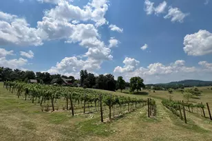 2110 Quicksburg Rd, Quicksburg, VA 22847 - Photo 60