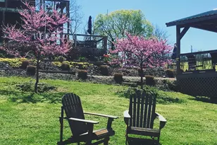 2110 Quicksburg Rd, Quicksburg, VA 22847 - Photo 6