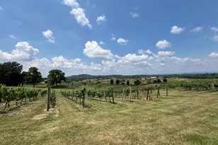 2110 Quicksburg Rd, Quicksburg, VA 22847 - Photo 50