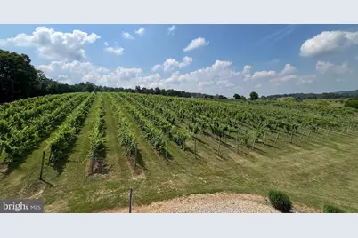 2110 Quicksburg Road, Quicksburg, VA 22847 - Photo 42