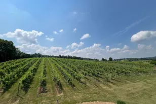 2110 Quicksburg Rd, Quicksburg, VA 22847 - Photo 42