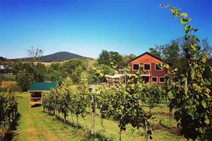 2110 Quicksburg Rd, Quicksburg, VA 22847 - Photo 10