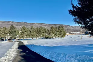 8284 Back Rd, Maurertown, VA 22644 - Photo 54