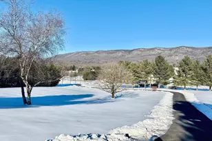 8284 Back Rd, Maurertown, VA 22644 - Photo 52