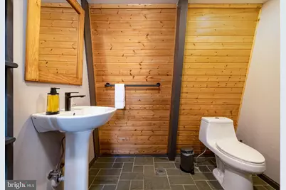 1667 Fairway Drive, Basye, VA 22810 - Photo 30