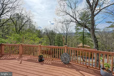 167 Williams Lane, Basye, VA 22810 - Photo 46