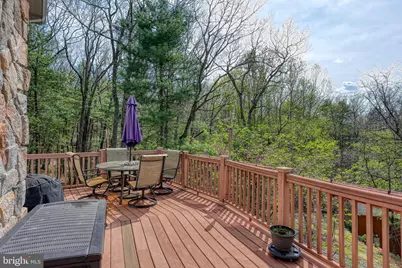 167 Williams Lane, Basye, VA 22810 - Photo 44