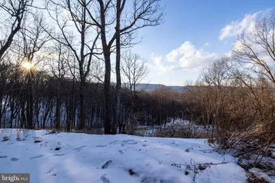 99 Laurel Lane, Fort Valley, VA 22652 - Photo 32