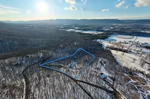 99 Laurel Ln, Fort Valley, VA 22652 - Photo 38