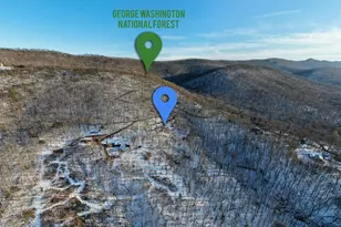 99 Laurel Ln, Fort Valley, VA 22652 - Photo 40