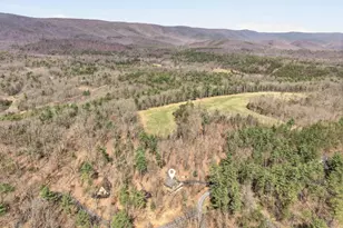 262 Hogan Dr, Basye, VA 22810 - Photo 48