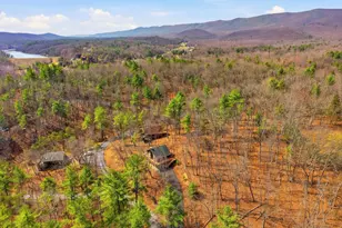 262 Hogan Dr, Basye, VA 22810 - Photo 44