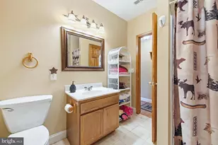 262 Hogan Dr, Basye, VA 22810 - Photo 28