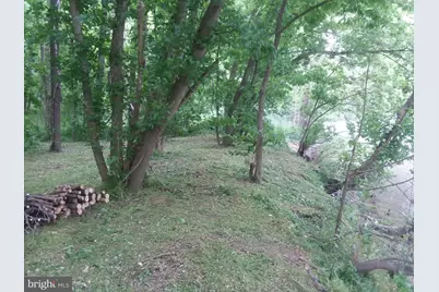 Bear Paw, Maurertown, VA 22644 - Photo 4