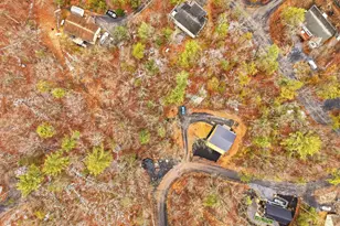 875 Willow Ln, Mount Jackson, VA 22842 - Photo 44