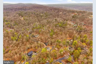 875 Willow Lane, Mount Jackson, VA 22842 - Photo 48