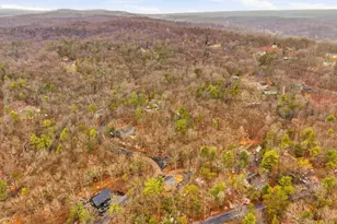 875 Willow Ln, Mount Jackson, VA 22842 - Photo 48