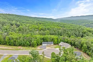 201 Creek Valley Dr, Basye, VA 22810 - Photo 28