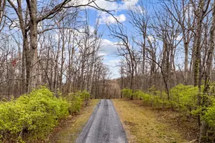 1029 Fleming Park Rd, Mount Jackson, VA 22842 - Photo 2