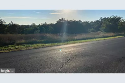 Tbd Signal Knob, Strasburg, VA 22657 - Photo 10