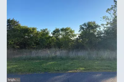 Tbd Signal Knob, Strasburg, VA 22657 - Photo 8
