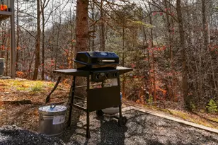 331A King, Basye, VA 22810 - Photo 48