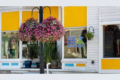 1197 John Marshall Highway, Strasburg, VA 22657 - Photo 66