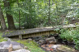 100 Nazareth Dr, Fort Valley, VA 22652 - Photo 70