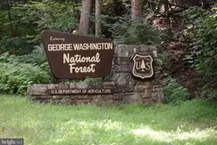 100 Nazareth Dr, Fort Valley, VA 22652 - Photo 66