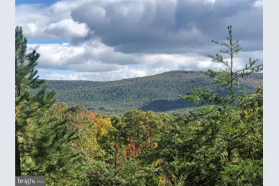 100 Nazareth Drive, Fort Valley, VA 22652 - Photo 12