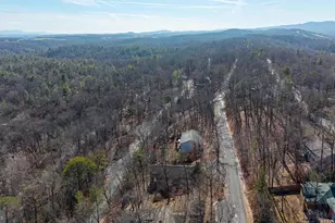 86 Maple Ave, Mount Jackson, VA 22842 - Photo 46