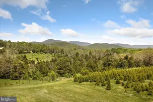 278 Little Mountain Ln, Edinburg, VA 22824 - Photo 58