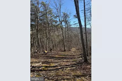 Lot 55 Moreland Gap, New Market, VA 22844 - Photo 1