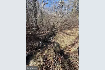 Lot 55 Moreland Gap, New Market, VA 22844 - Photo 2