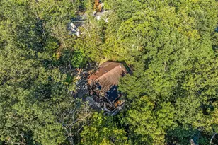 193 Ash Ln, Mount Jackson, VA 22842 - Photo 66