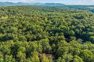 193 Ash Ln, Mount Jackson, VA 22842 - Photo 64