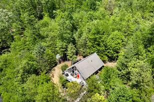304 Holly Ridge Rd, Mount Jackson, VA 22842 - Photo 32