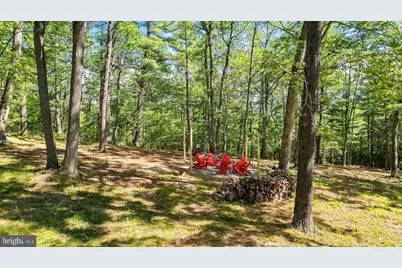291 Judd Lane, Mount Jackson, VA 22842 - Photo 28