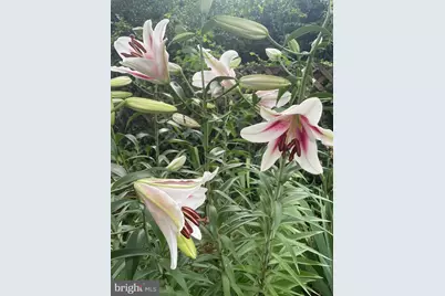 29674 Old Valley Pike, Strasburg, VA 22657 - Photo 44