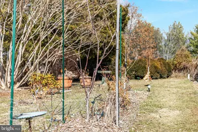 29674 Old Valley Pike, Strasburg, VA 22657 - Photo 28