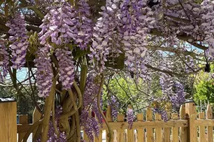 29674 Old Valley Pike, Strasburg, VA 22657 - Photo 44