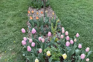 29674 Old Valley Pike, Strasburg, VA 22657 - Photo 40