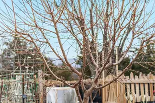 29674 Old Valley Pike, Strasburg, VA 22657 - Photo 38