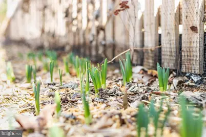 29674 Old Valley Pike, Strasburg, VA 22657 - Photo 34