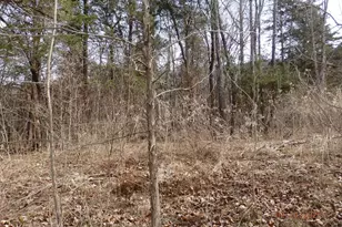 Lot 6 Phase 1 Stonewall, Woodstock, VA 22664 - Photo 1