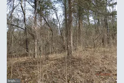 Lot 6 Phase 1 Stonewall, Woodstock, VA 22664 - Photo 2